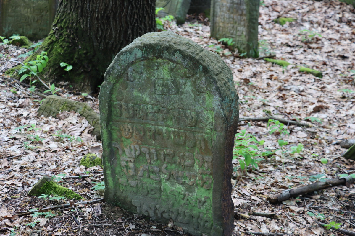jewish cemeteries Nowy Wiśnicz