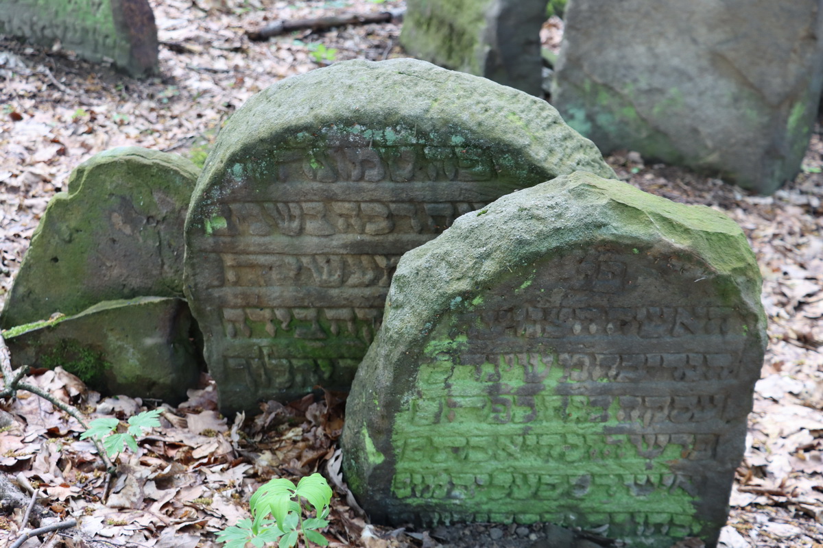 jewish cemeteries Nowy Wiśnicz