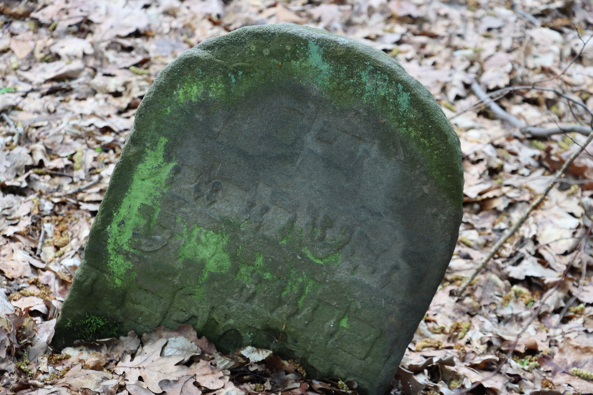 jewish cemeteries Nowy Wiśnicz