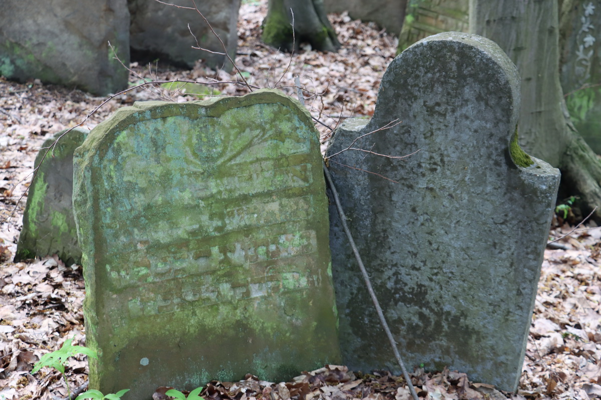jewish cemeteries Nowy Wiśnicz