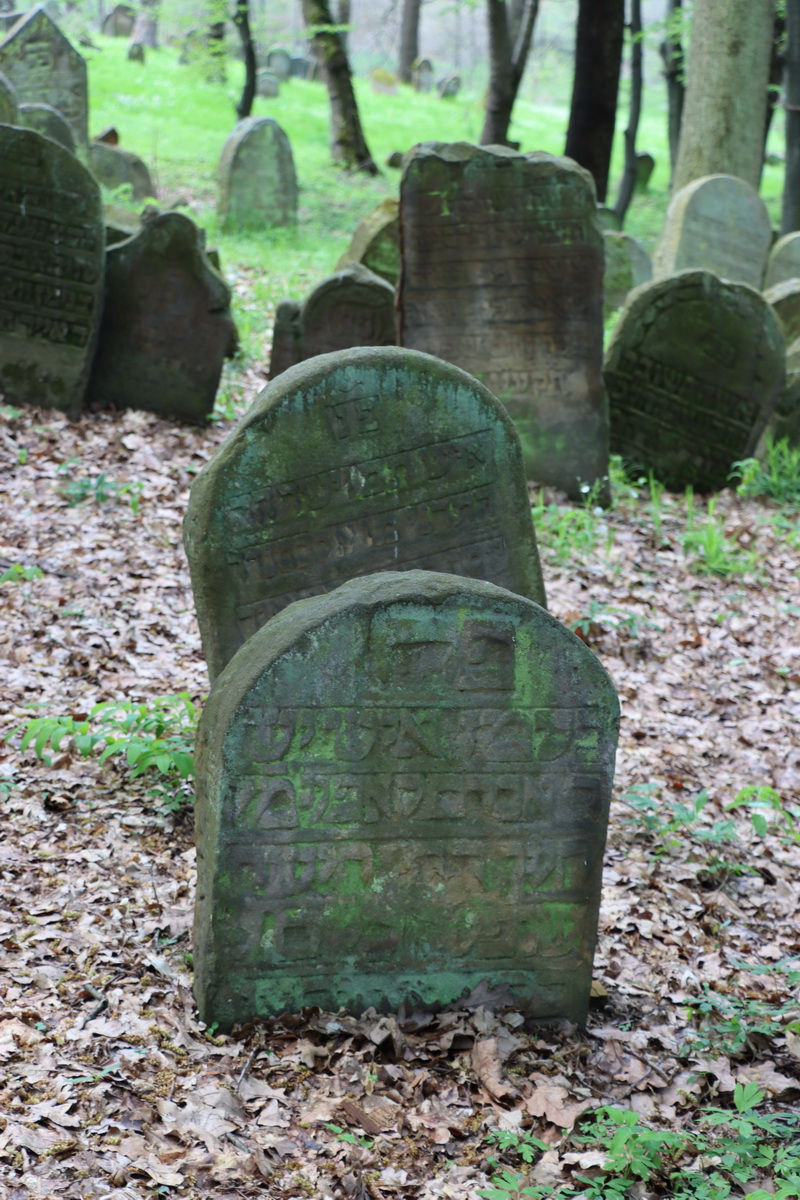 jewish cemeteries Nowy Wiśnicz