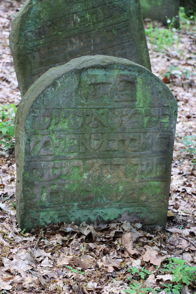 jewish cemeteries Nowy Wiśnicz