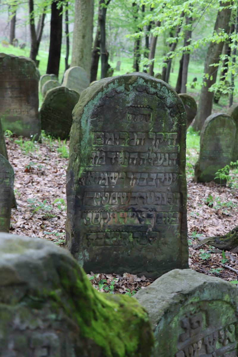 jewish cemeteries Nowy Wiśnicz