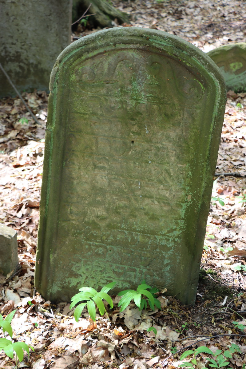 jewish cemeteries Nowy Wiśnicz