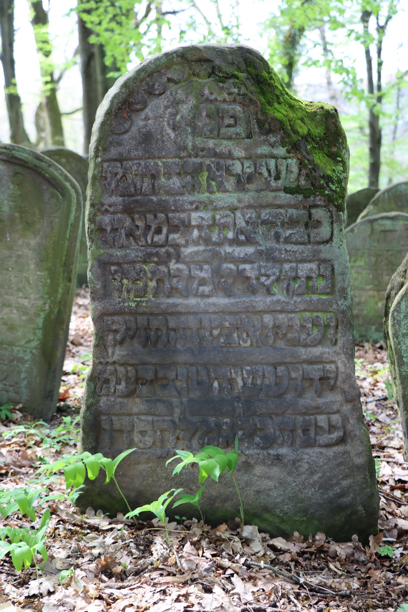 jewish cemeteries Nowy Wiśnicz