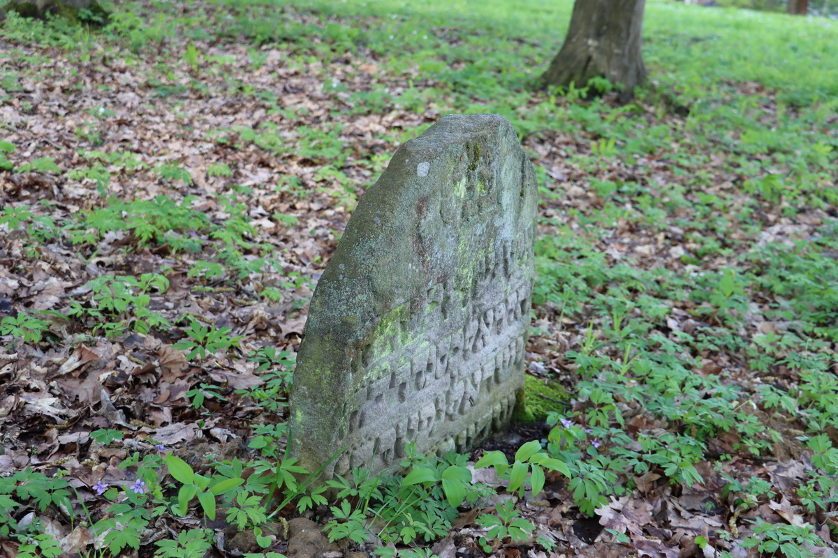 jewish cemeteries Nowy Wiśnicz