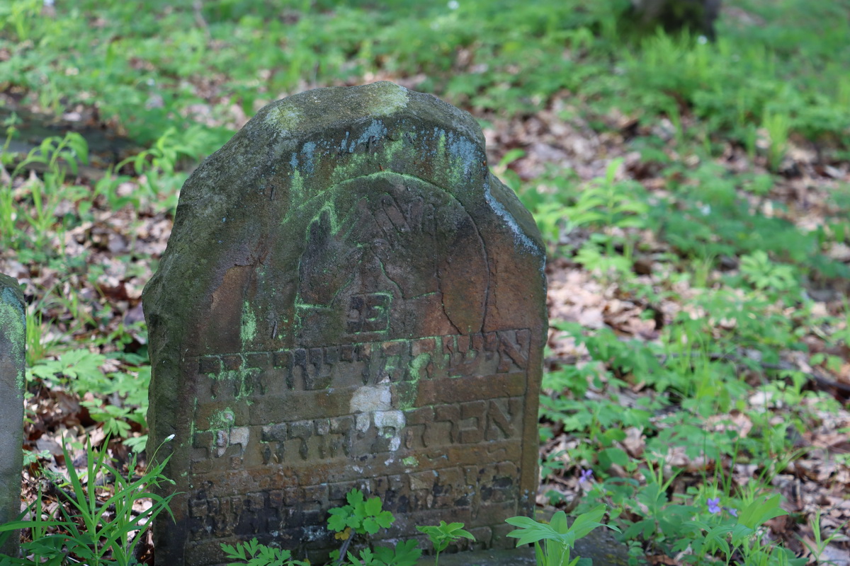 jewish cemeteries Nowy Wiśnicz