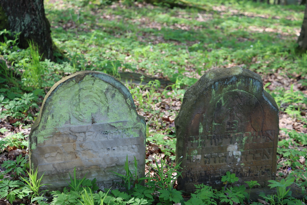 jewish cemeteries Nowy Wiśnicz