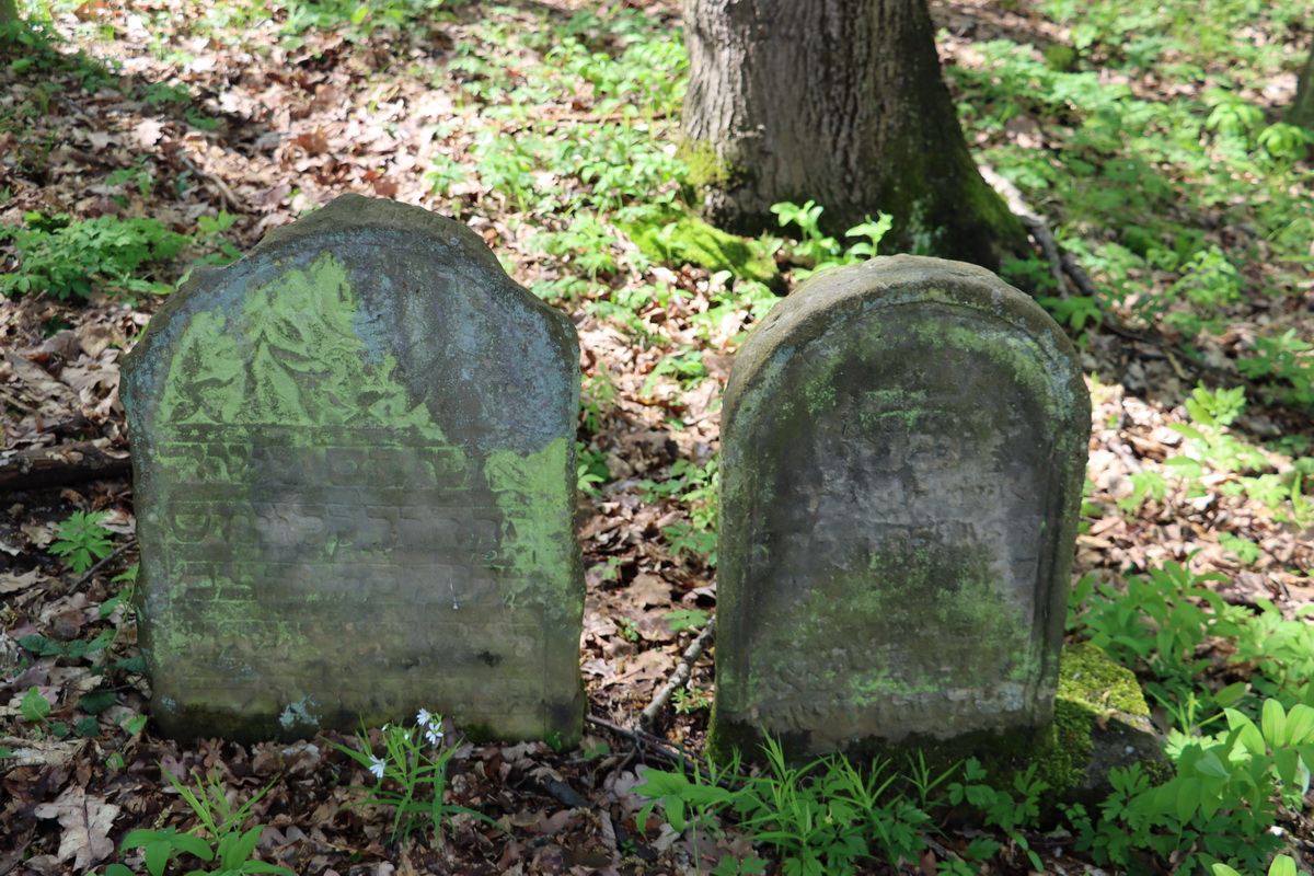 jewish cemeteries Nowy Wiśnicz