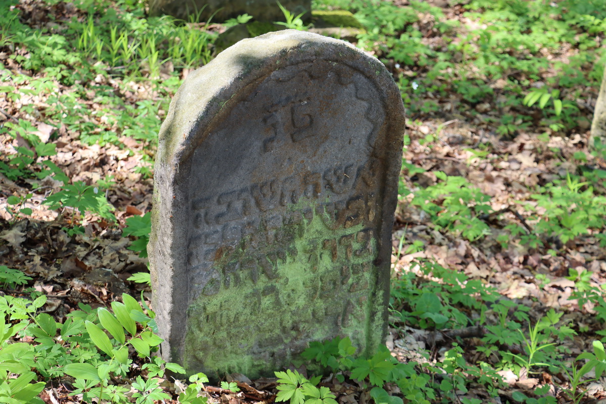 jewish cemeteries Nowy Wiśnicz