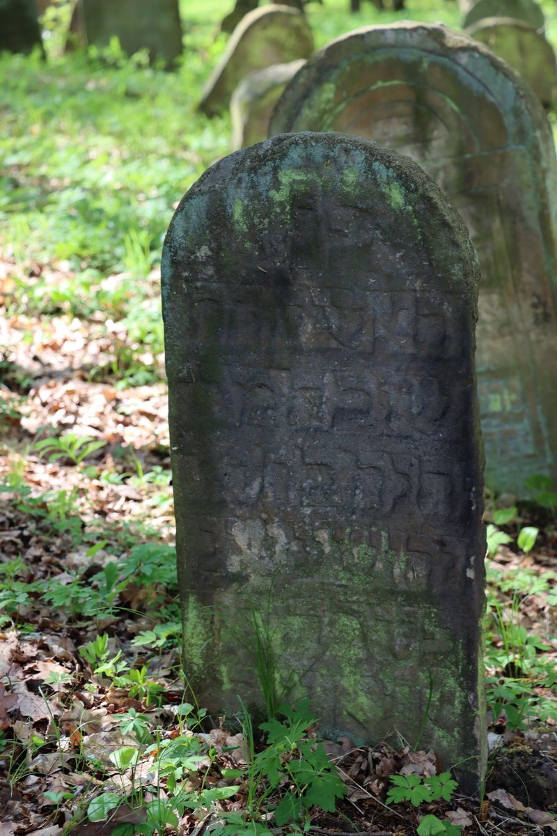 jewish cemeteries Nowy Wiśnicz