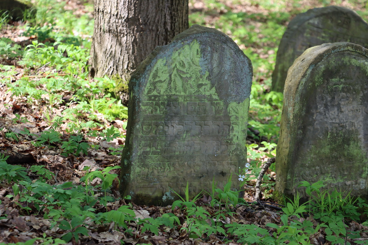 jewish cemeteries Nowy Wiśnicz