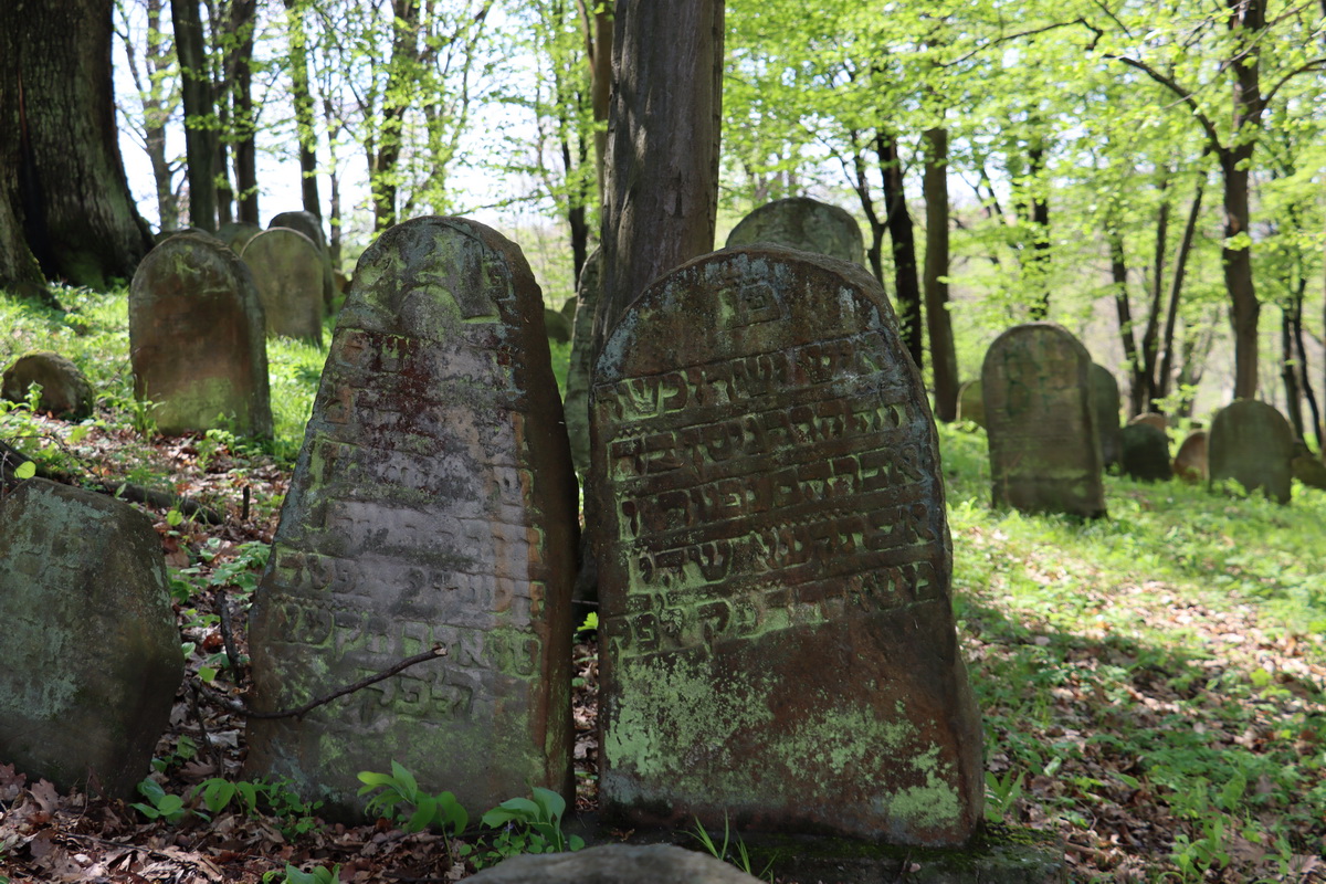 jewish cemeteries Nowy Wiśnicz