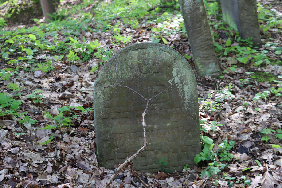 jewish cemeteries Nowy Wiśnicz