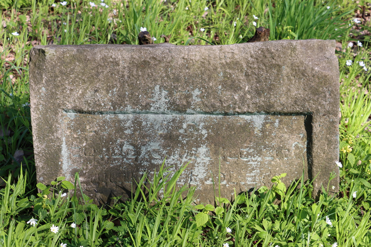 jewish cemeteries Nowy Wiśnicz