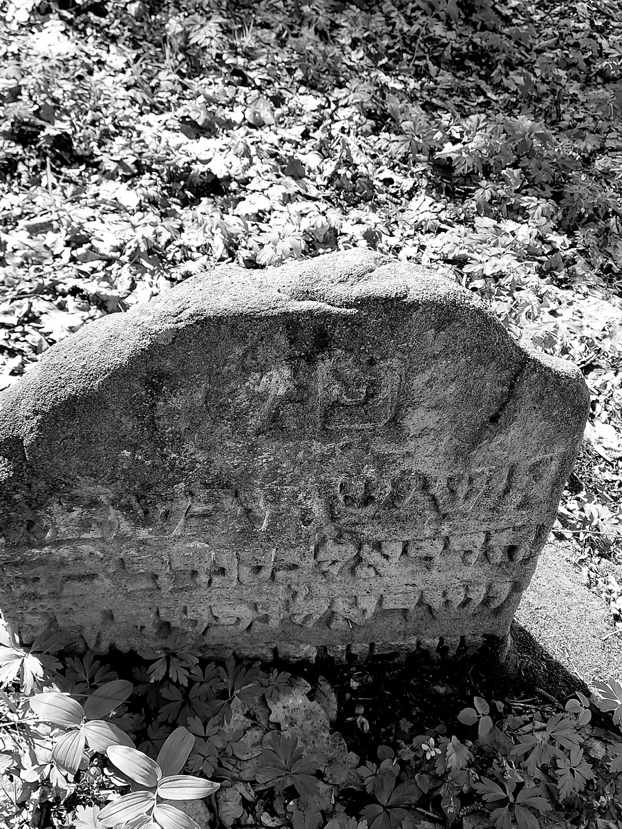 jewish cemeteries Nowy Wiśnicz