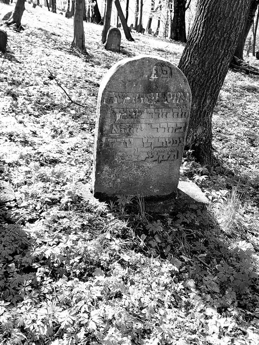 jewish cemeteries Nowy Wiśnicz