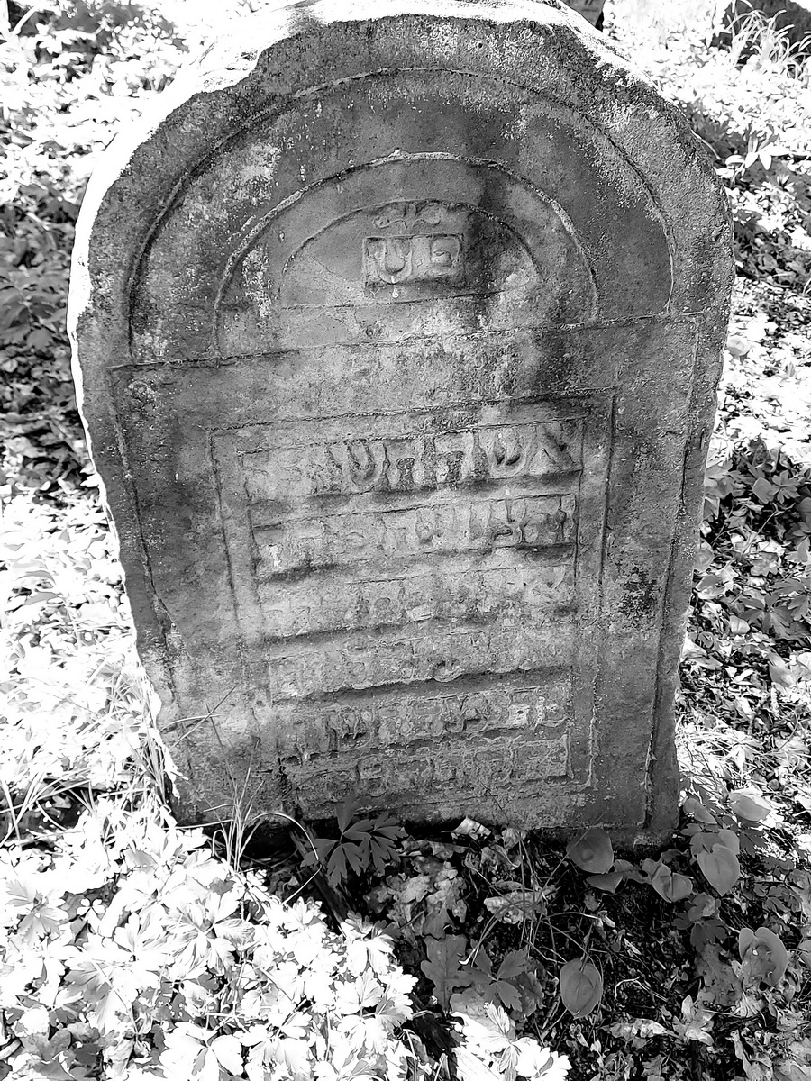 jewish cemeteries Nowy Wiśnicz